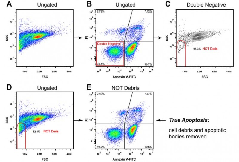 流式檢測服務(wù)